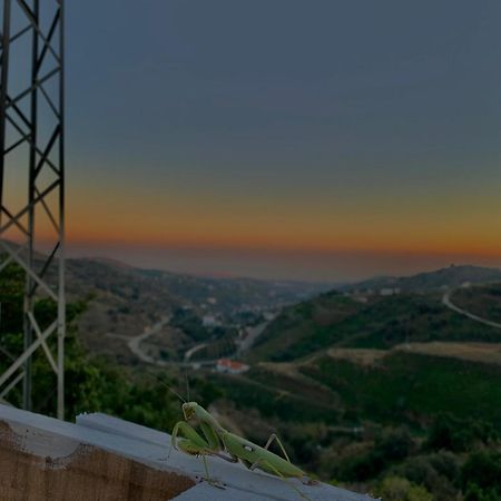 Casa Rural Malaga Monkey Love Con Jacuzzi Iznate Luaran gambar